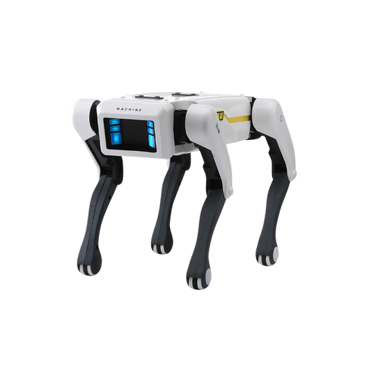 Robit™ Intelligent Robot Dog