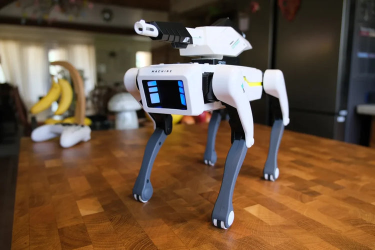 Robit™ Intelligent Robot Dog